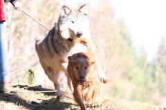 IMG_1608