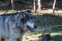 IMG_1653