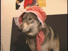 bonnet1