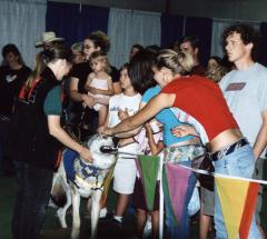 fair2