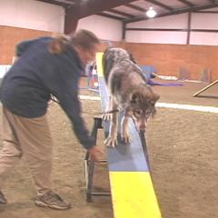 teeter1