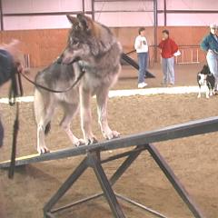 teeter2