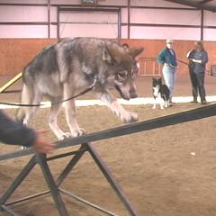 teeter3