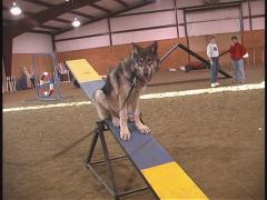 teeter4
