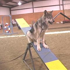 teeter5