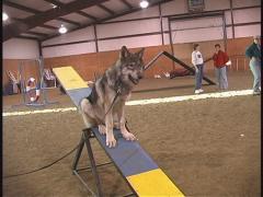 teeter6
