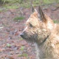 epicheadprofile.jpg (86871 bytes)
