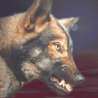 miko.gif (59224 bytes)