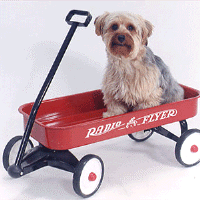 wagon.gif (50871 bytes)