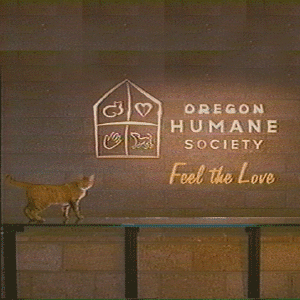 feellove.gif (126131 bytes)