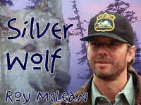 silverwolftitle1.jpg (22613 bytes)